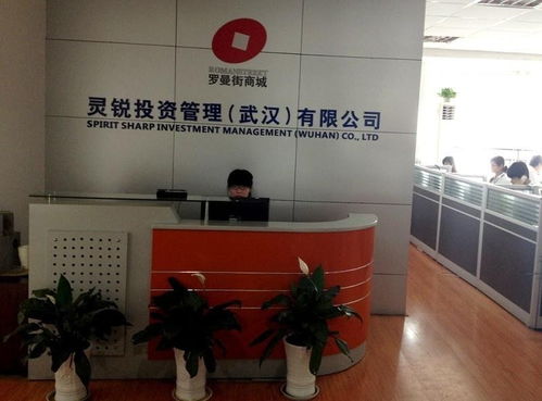 靈銳投資管理 立足武漢，深耕區域經濟的資本力量