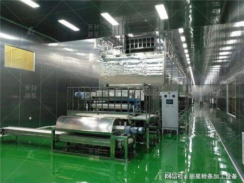 粉條粉絲廠辦廠投資指南 流程、預(yù)算關(guān)鍵及盈利管控解析