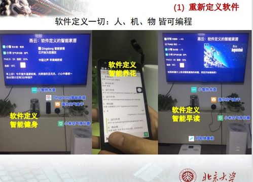 北京大學軟件工程課程解析 從軟件開發到技術服務框架